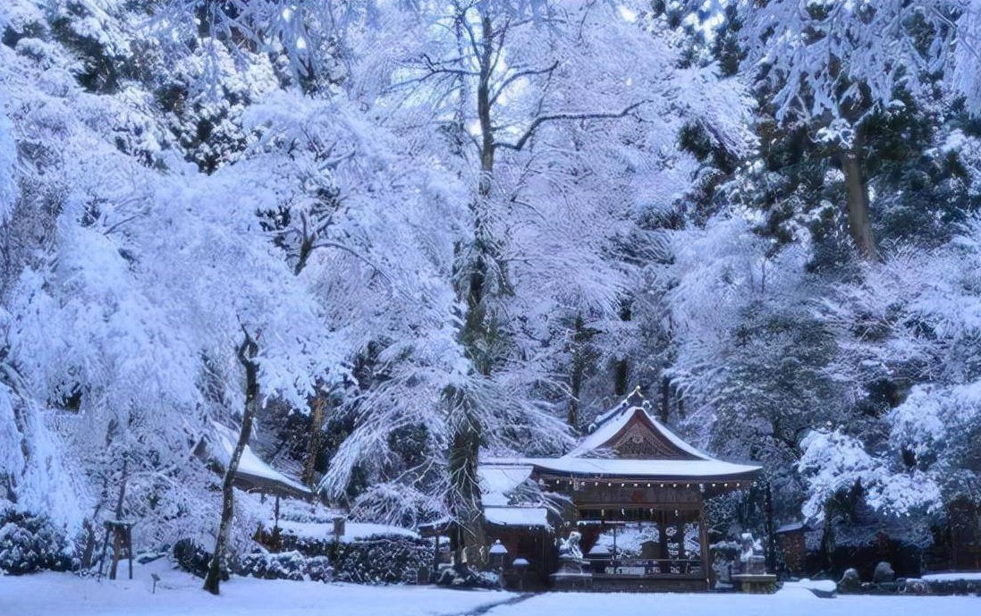 梦见下雪什么征兆